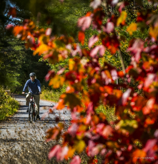 About the Adirondack rail trail